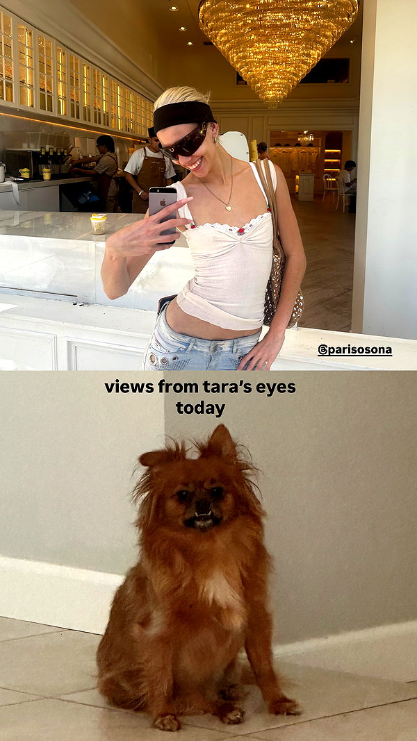 tarayummyy instagram image archive image
