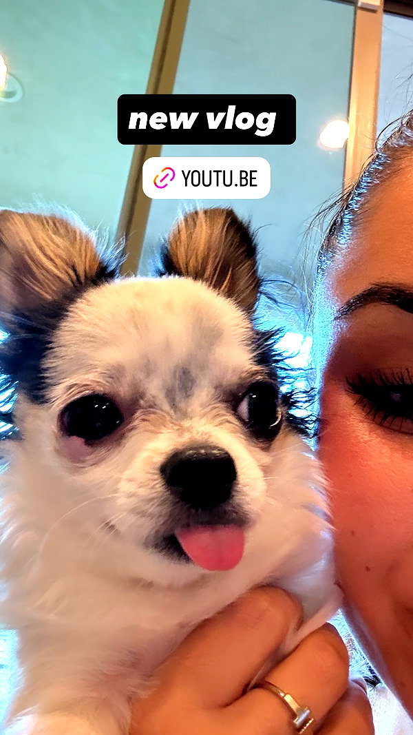 tarayummyy instagram image archive image