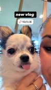 tarayummyy Altpins Profile Picture