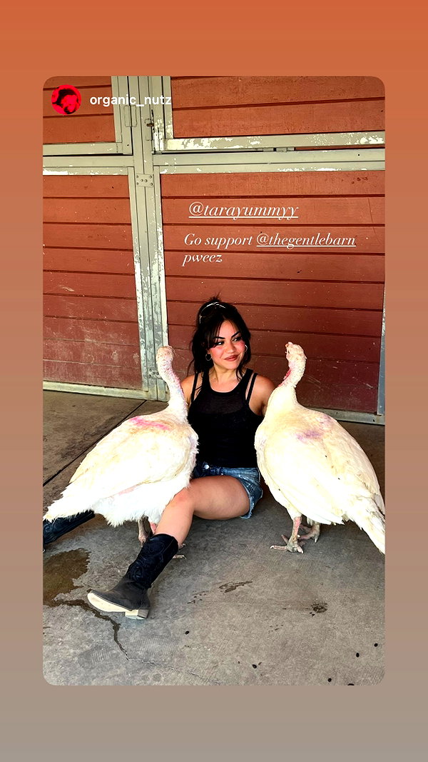 tarayummyy instagram image archive image