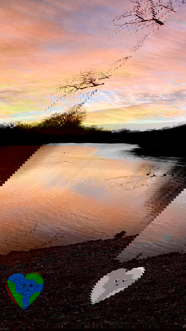 tatum.ricee tatum.ricee archive image