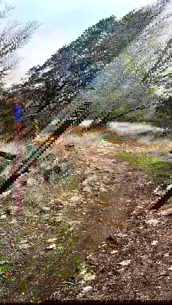 tatum.ricee tatum.ricee archive image