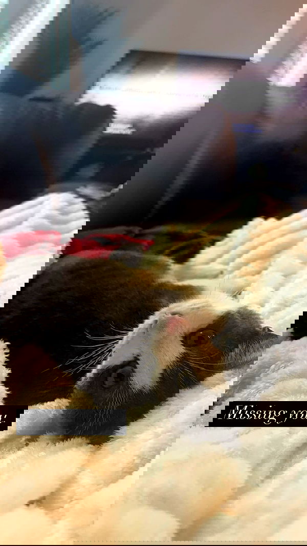 tatum.ricee tatum.ricee archive image