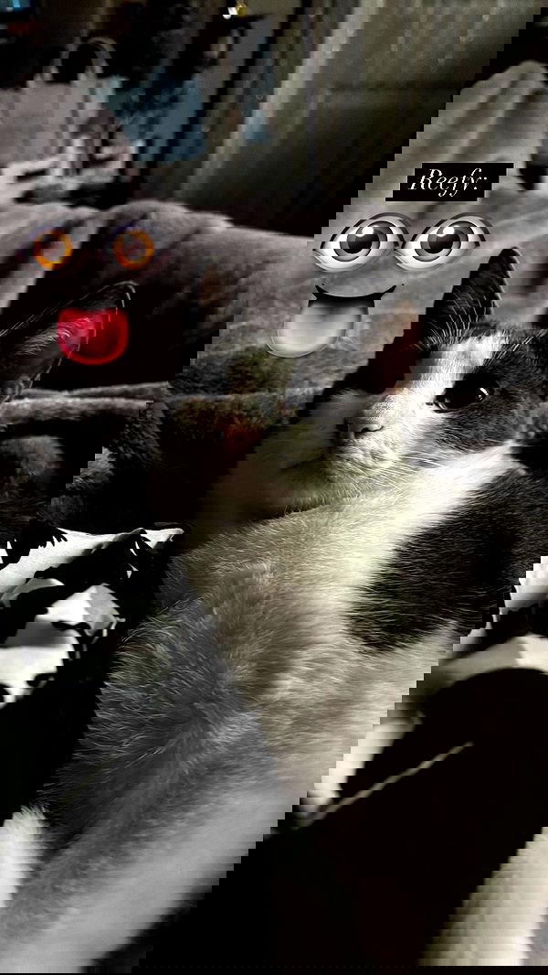 tatum.ricee tatum.ricee archive image