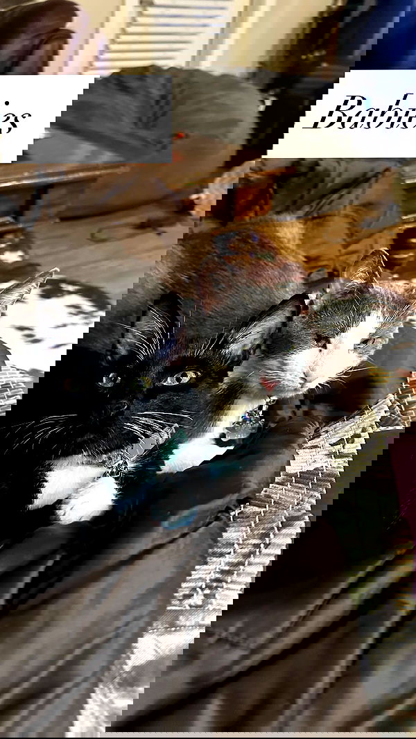 tatum.ricee tatum.ricee archive image