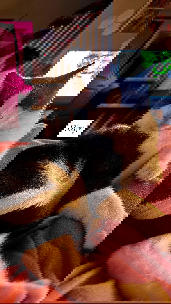 tatum.ricee tatum.ricee archive image