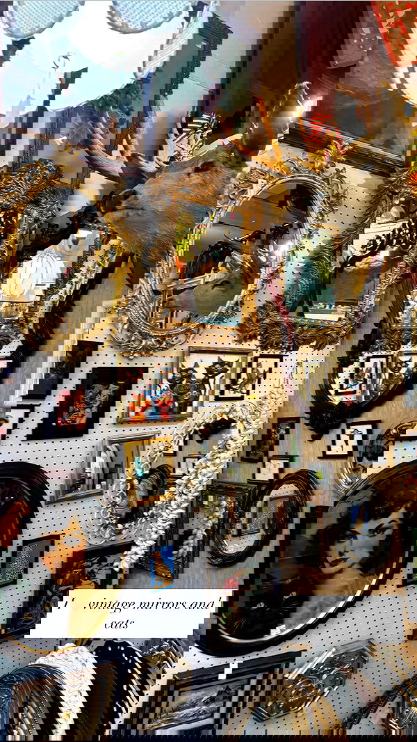 tatum.ricee tatum.ricee archive image