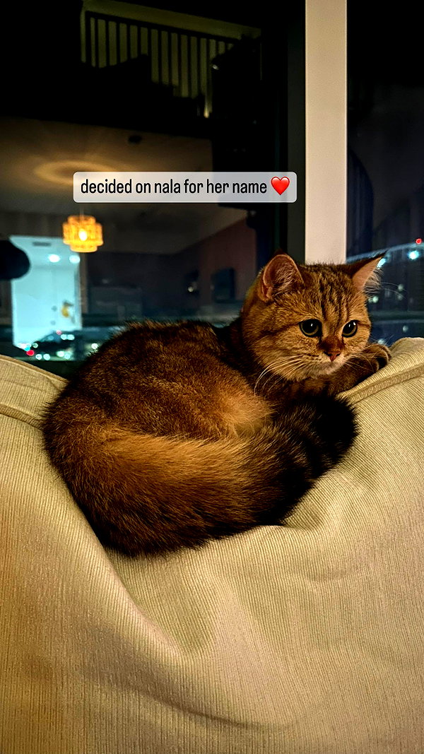 taylorballarddd instagram image archive image