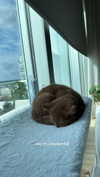 taylorballarddd Altpins Profile Picture
