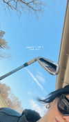 teafl0wer Altpins Profile Picture
