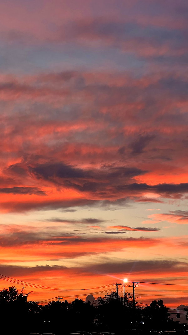 teafl0wer instagram image archive image