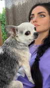 teafl0wer Altpins Profile Picture