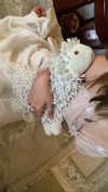 teakitten_ Altpins Profile Picture