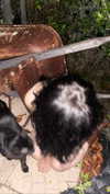 teakitten_ Altpins Profile Picture