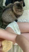 teakitten_ Altpins Profile Picture