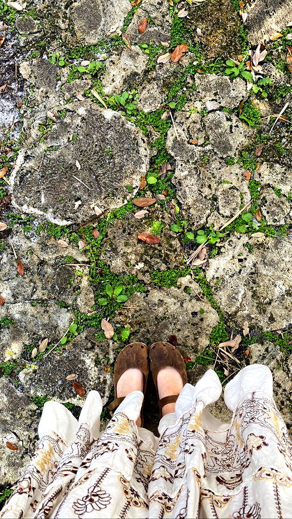 teakitten_ instagram image archive image