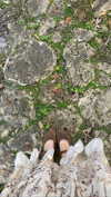 teakitten_ Altpins Profile Picture