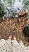 teakitten_ Altpins Profile Picture