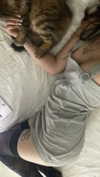 teakitten_ Altpins Profile Picture