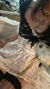 teakitten_ Altpins Profile Picture