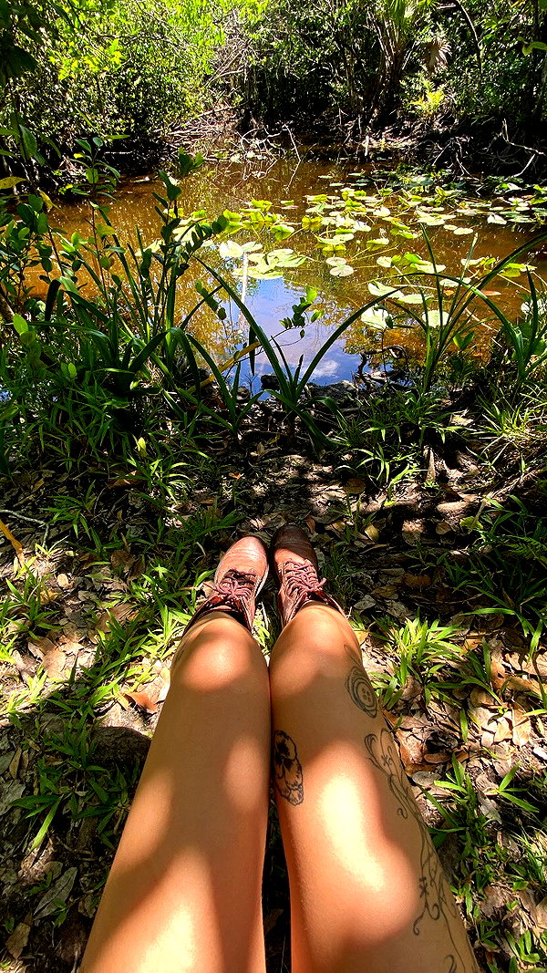 teakitten_ instagram image archive image