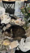 teakitten_ Altpins Profile Picture