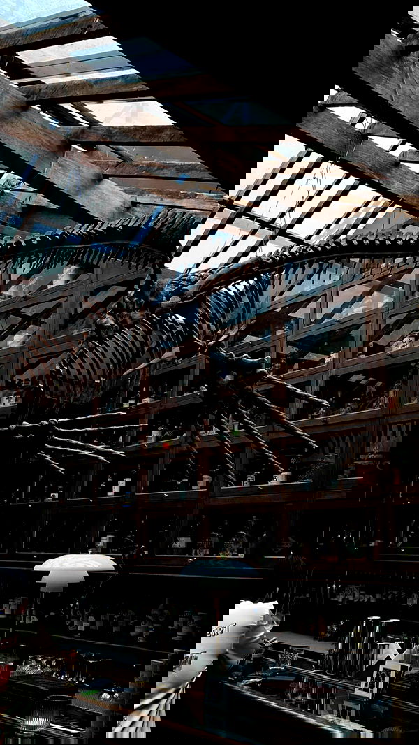 tgiangya image ~ Altpins