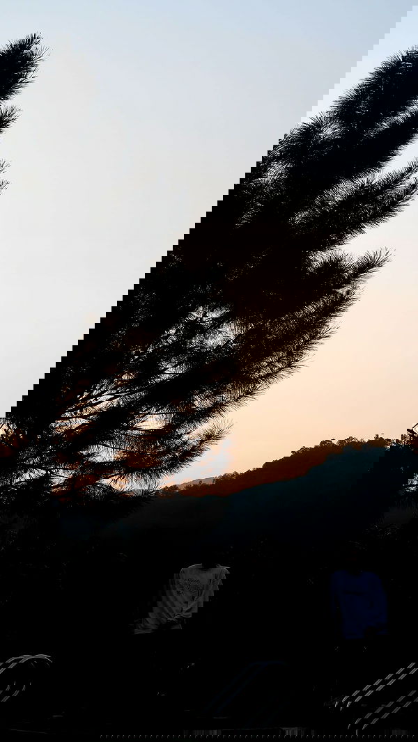 tgiangya image ~ Altpins