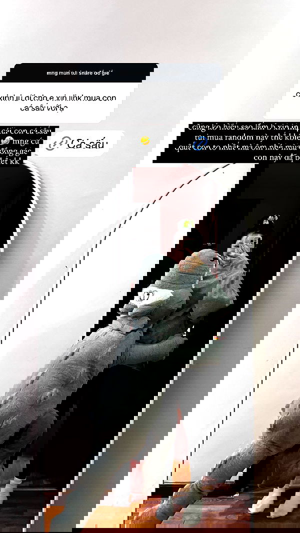 tgiangya image ~ Altpins