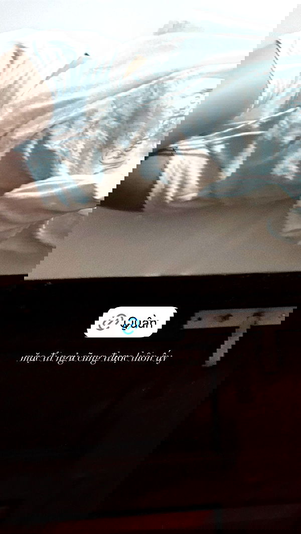 tgiangya image ~ Altpins