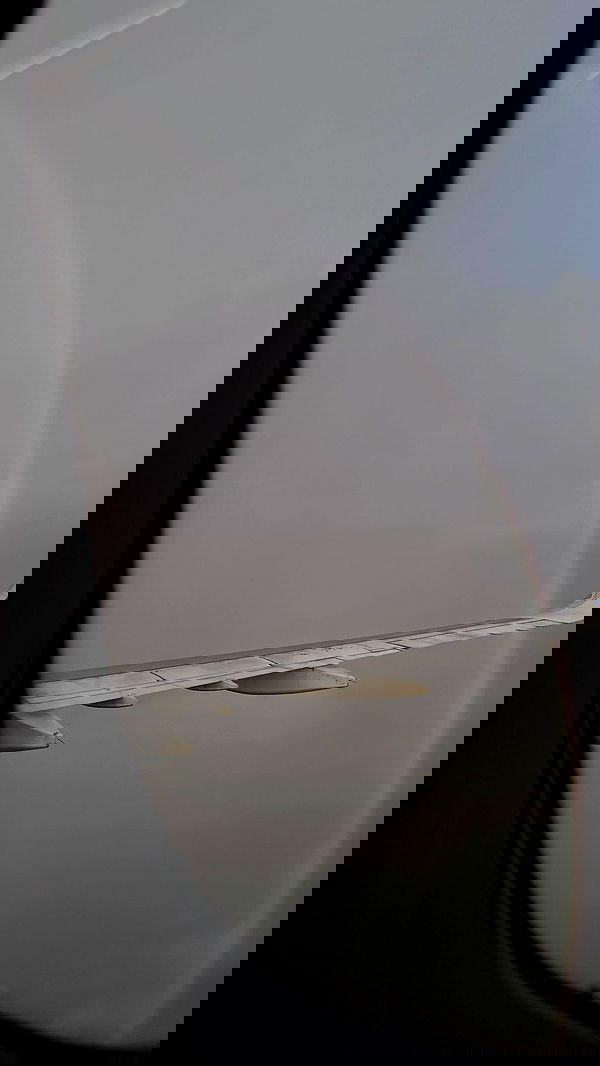 tgiangya image ~ Altpins