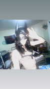 th4t2007do1l Altpins Profile Picture