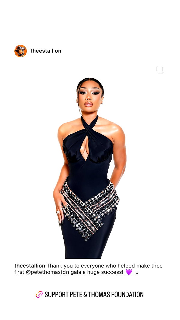 theestallion theestallion archive image