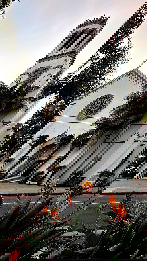 thelizzyporter thelizzyporter archive image