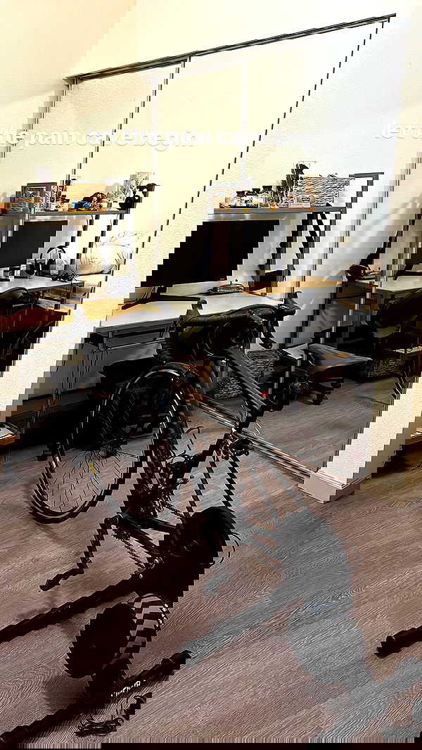 thelizzyporter thelizzyporter archive image