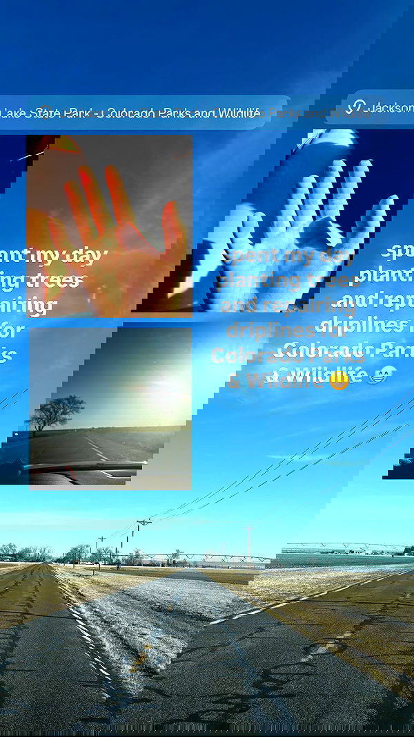 thelizzyporter thelizzyporter archive image