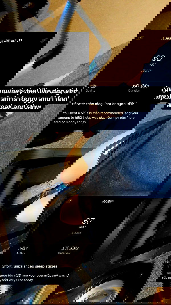 thelizzyporter thelizzyporter archive image