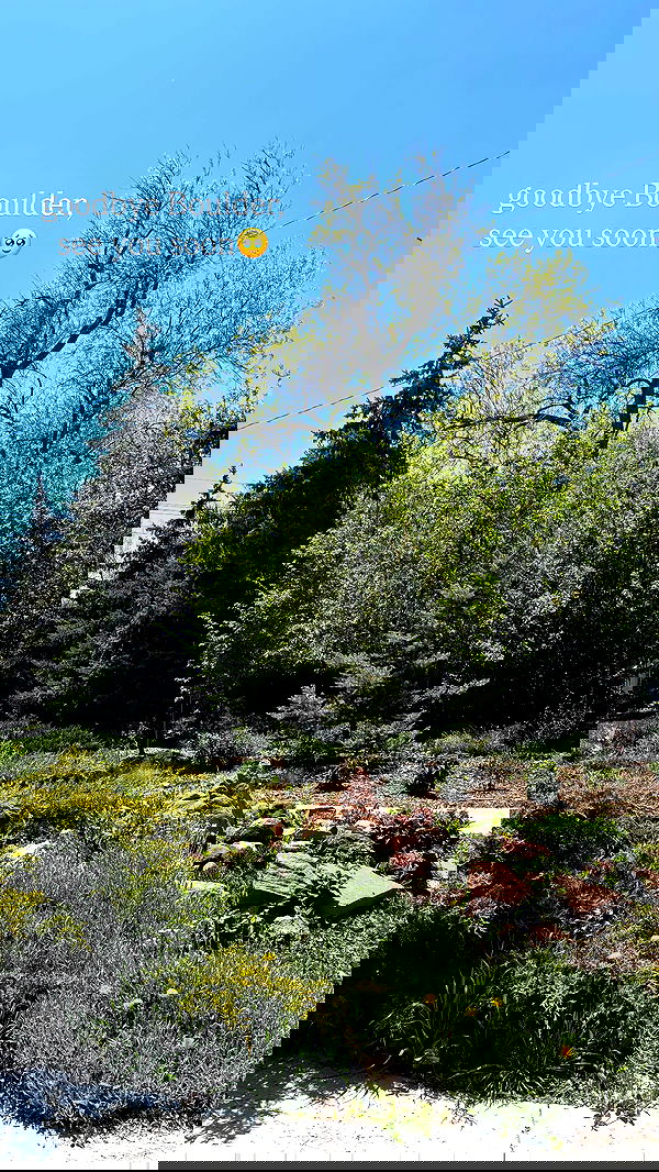 thelizzyporter thelizzyporter archive image