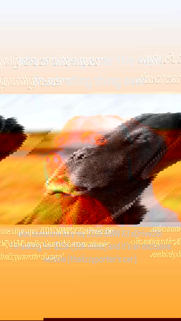 thelizzyporter thelizzyporter archive image