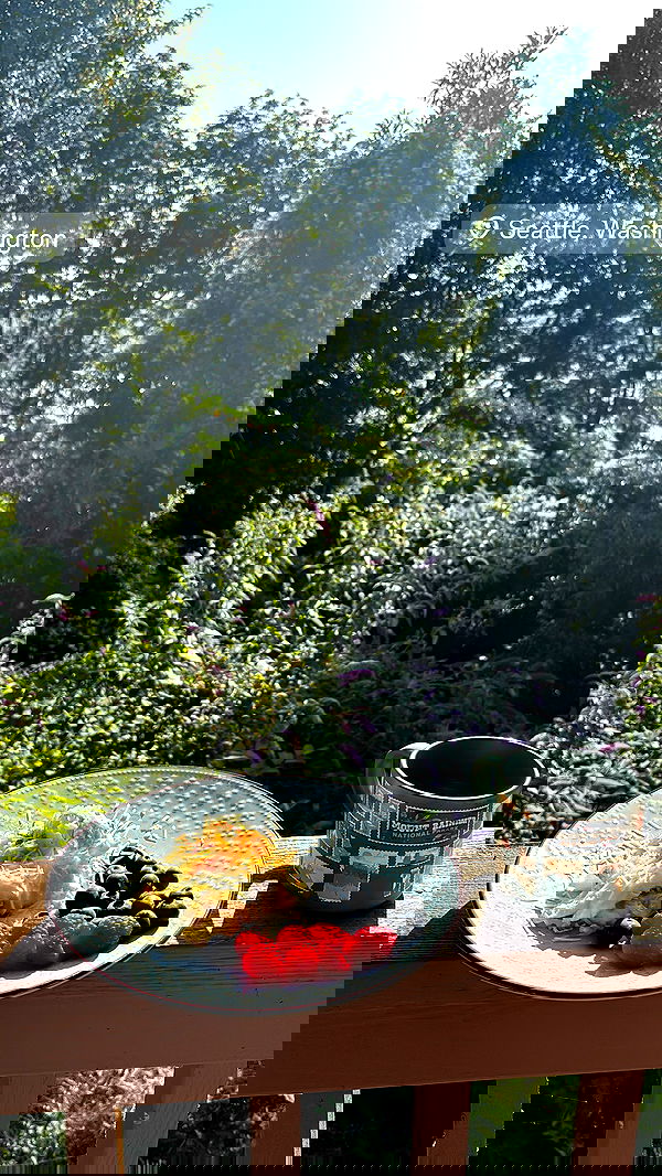 thelizzyporter thelizzyporter archive image