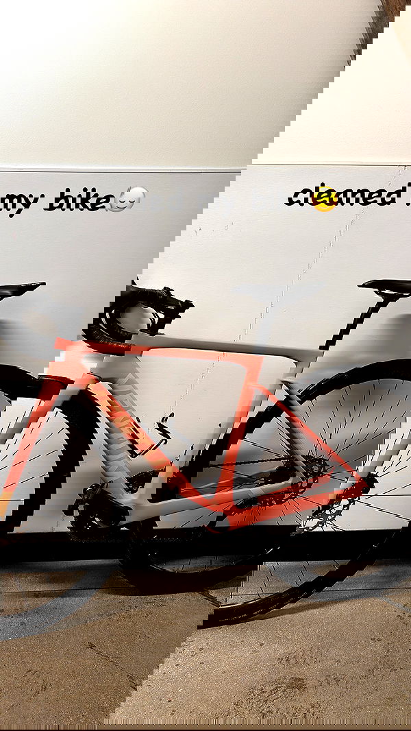 thelizzyporter thelizzyporter archive image