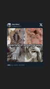 theonlygirlintheworld.xoxo Altpins Profile Picture