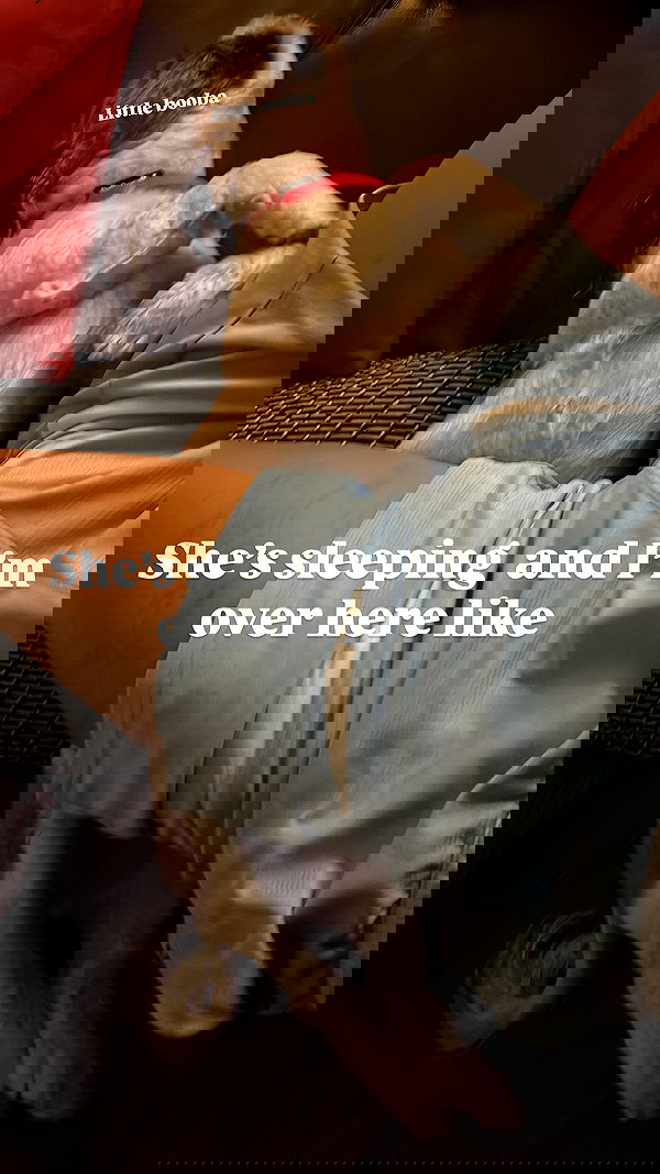 theonlygirlintheworld.xoxo theonlygirlintheworld.xoxo archive image