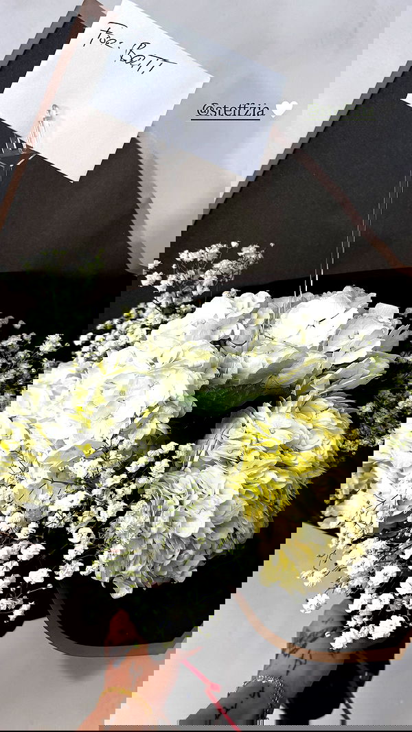 therealbrittfit therealbrittfit archive image