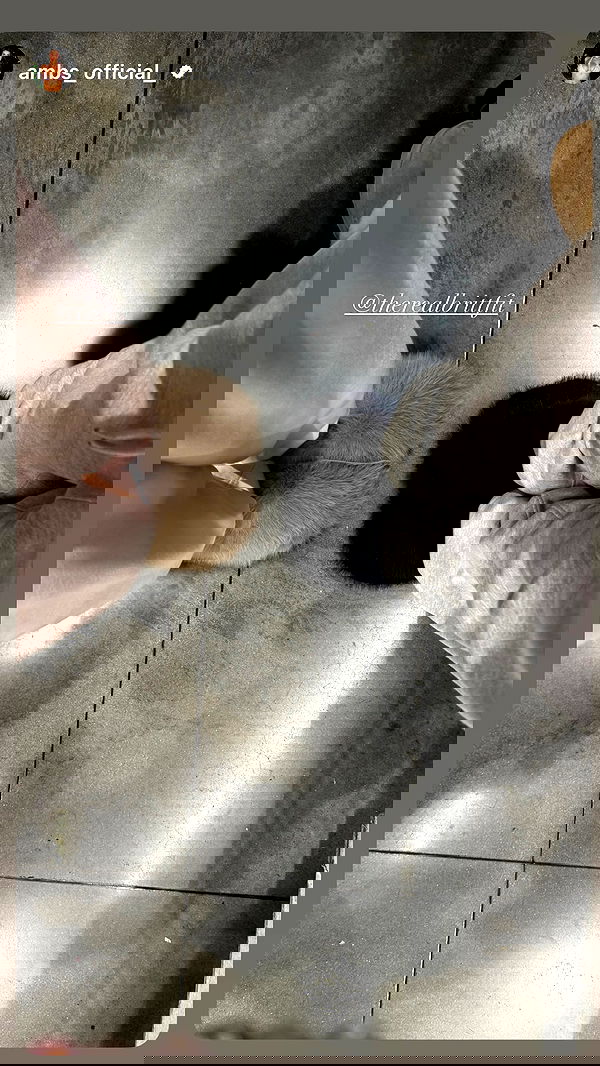 therealbrittfit therealbrittfit archive image