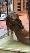 ti_joyy Altpins Profile Picture