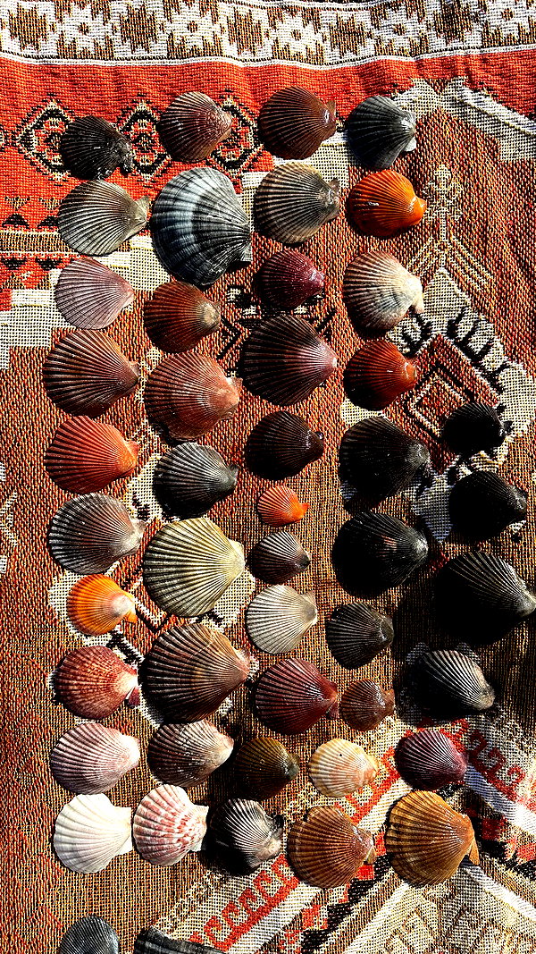 tiarnibutter tiarnibutter archive image