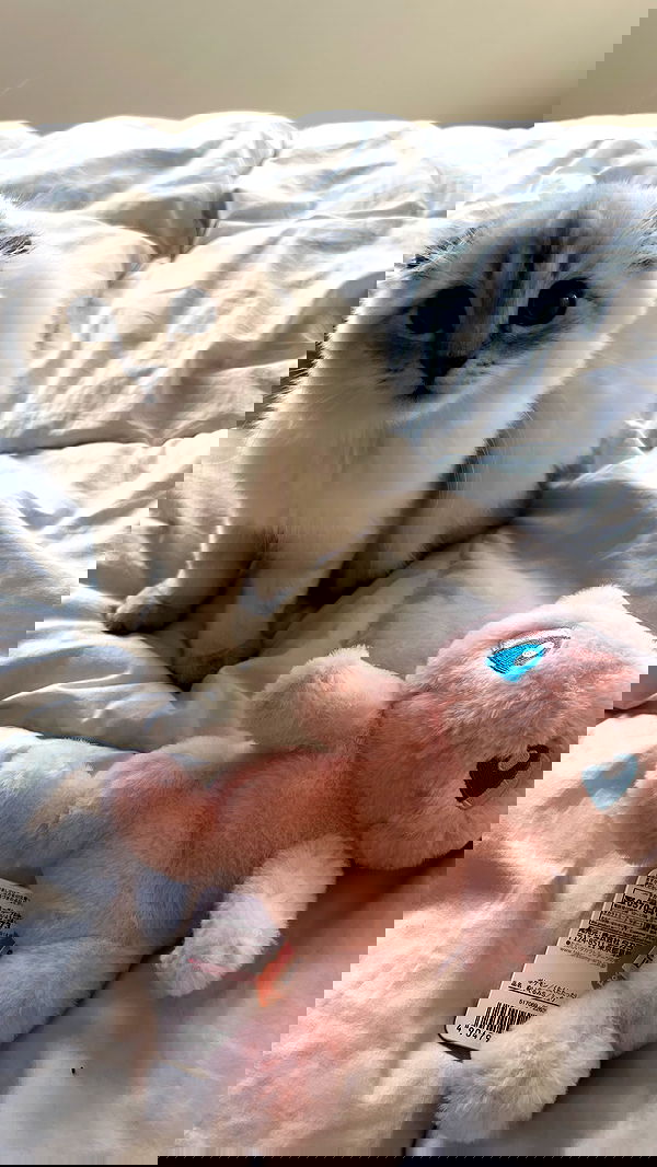 tiffanobi tiffanobi archive image