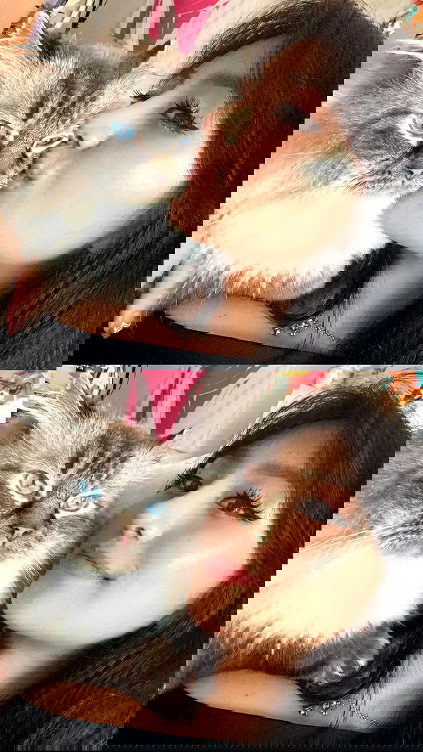 tiffanobi tiffanobi archive image