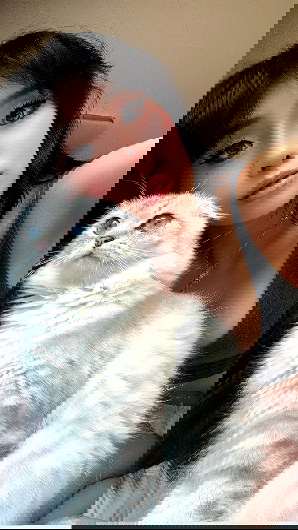 tiffanobi tiffanobi archive image